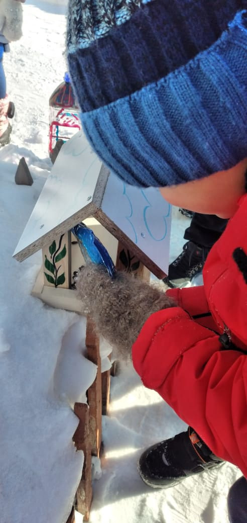 Постер к социальной практике: "Синичкин день"