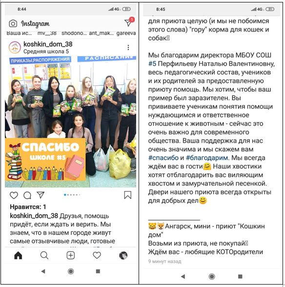 Постер к социальной практике: Помогаем приюту животных