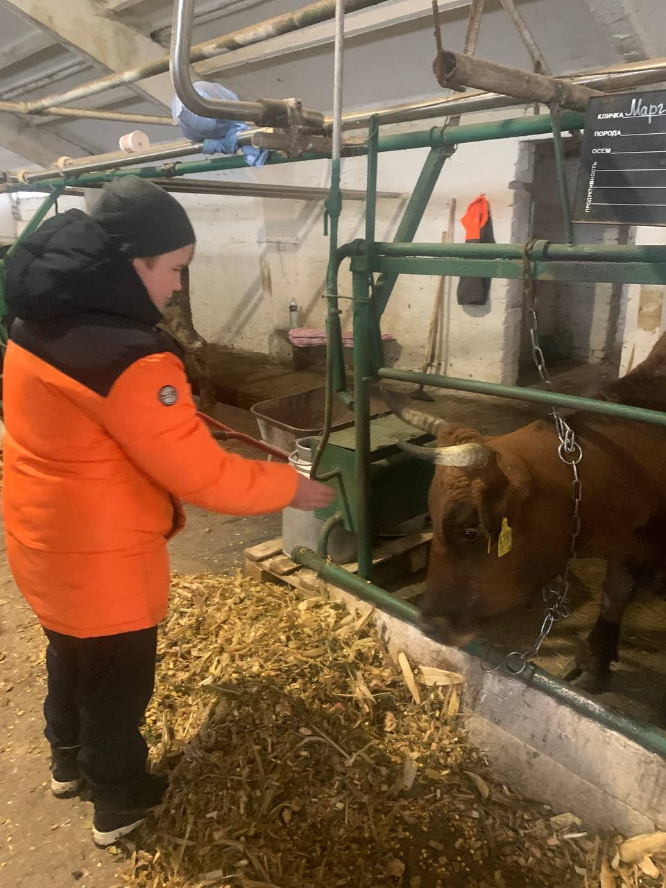 Постер к социальной практике: Воспитание выносливости