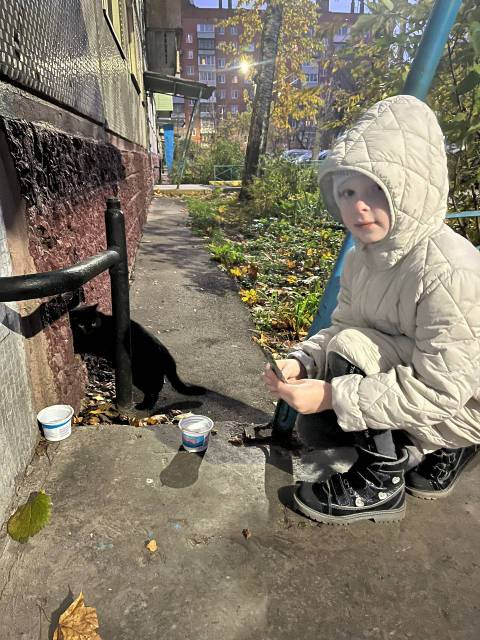 Постер к социальной практике: Помощь вместо осуждения