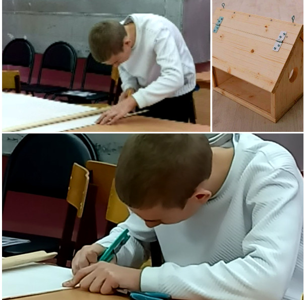 Постер к социальной практике: "Изучение и наблюдение природы породило науку" (Цицерон).