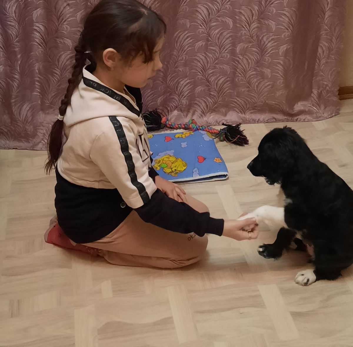 Постер к социальной практике: Мы в ответе за тех кого приручили