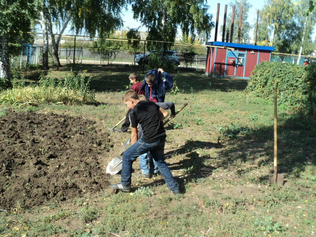 Постер к социальной практике: Добрые дела класса