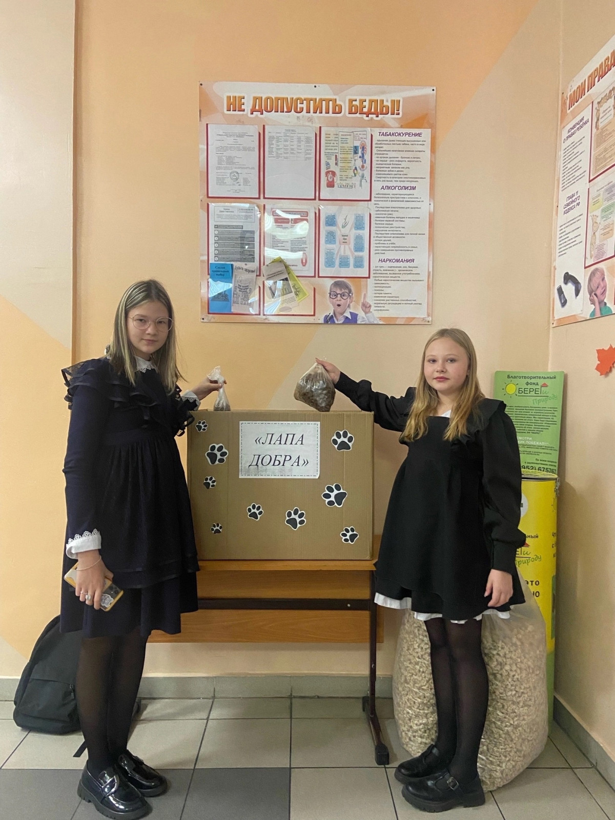 Постер к социальной практике: Лапа добра