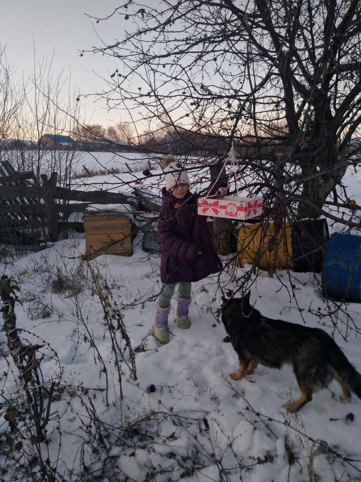Постер к социальной практике: Мы в ответе за братьев наших меньших.