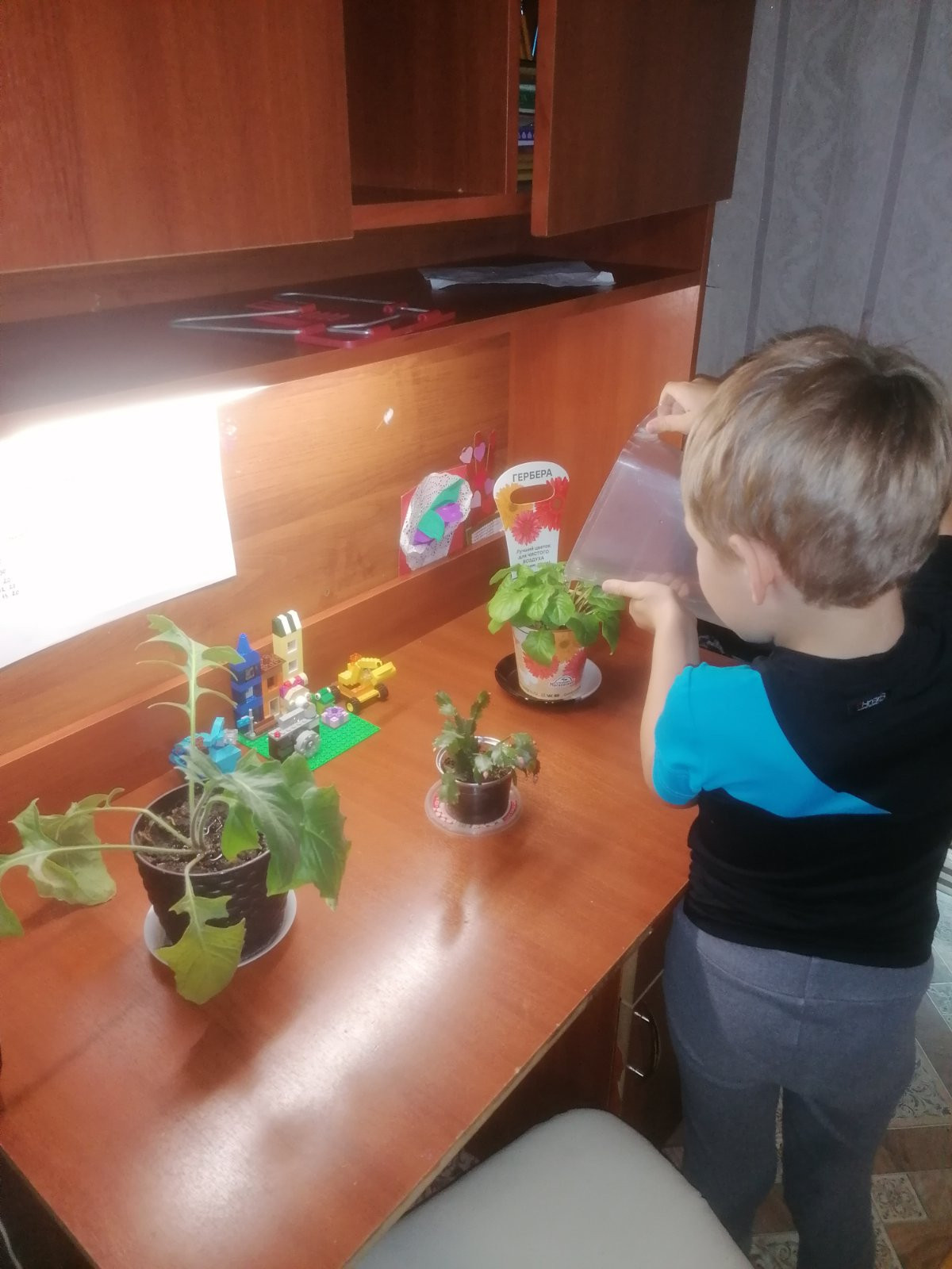 Постер к социальной практике: «Наша помощь- близким и родным»