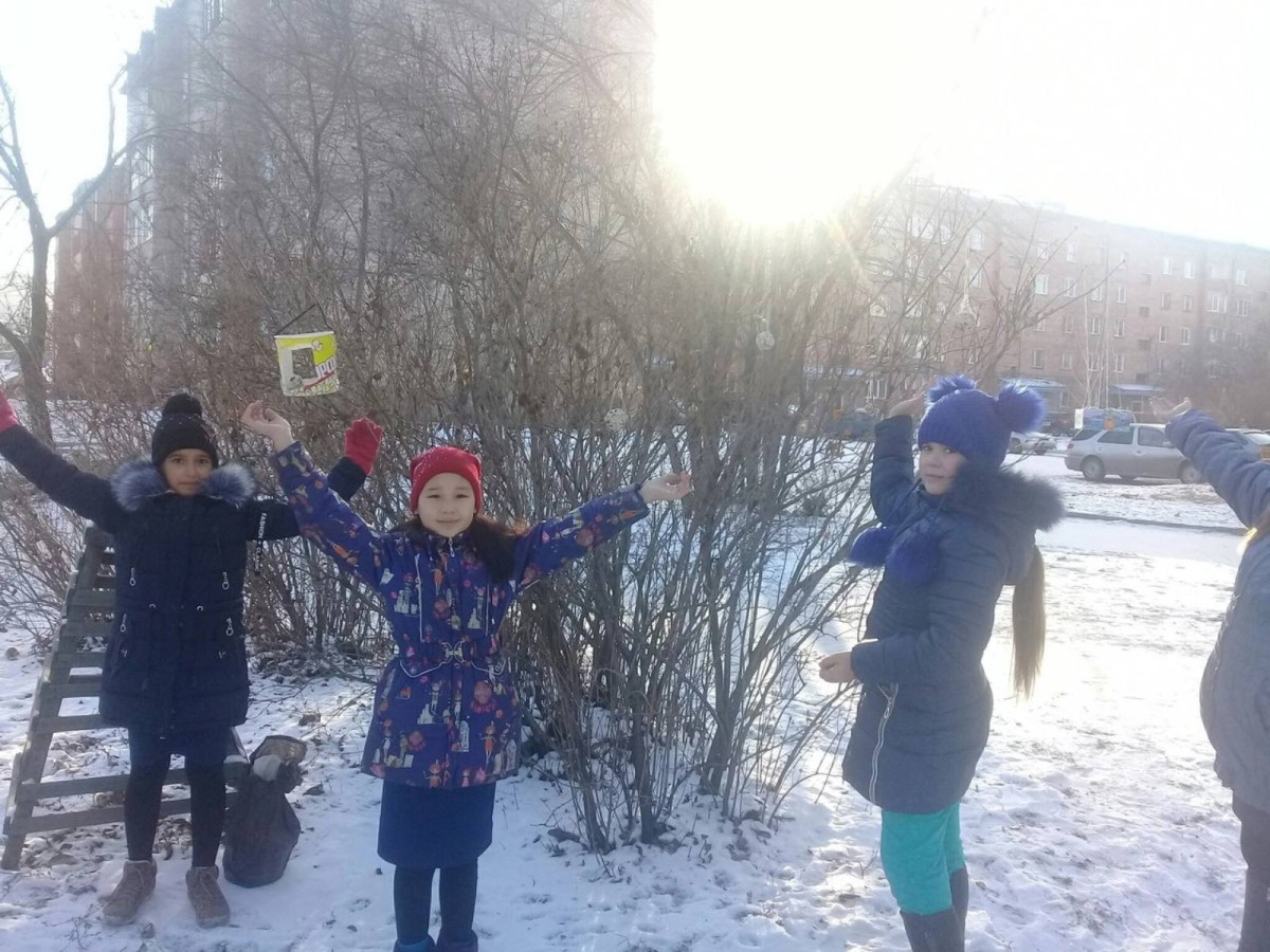 Постер к социальной практике: Покормите птиц зимой