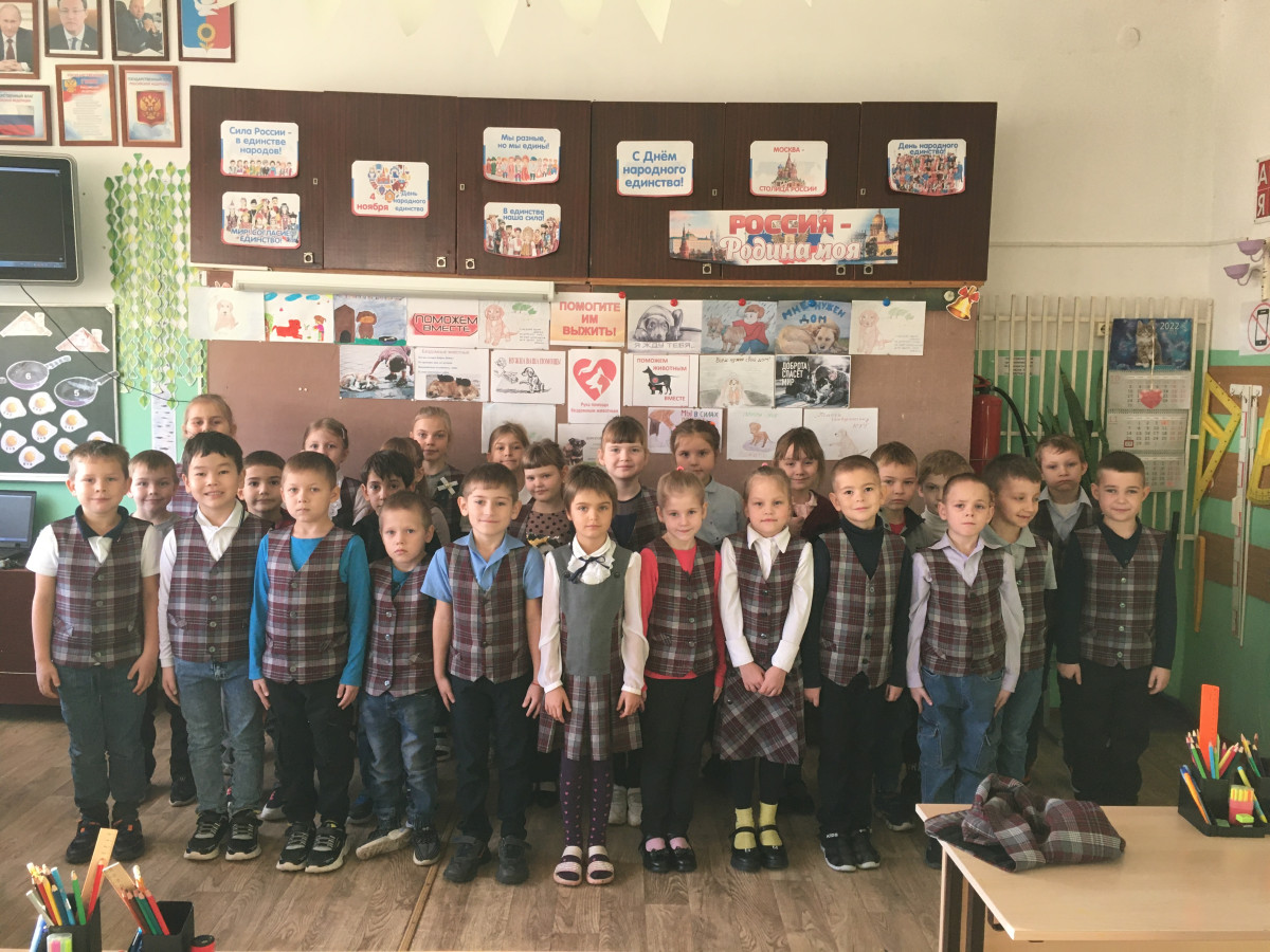 Постер к социальной практике: «Бездомные животные ждут нашей помощи»
