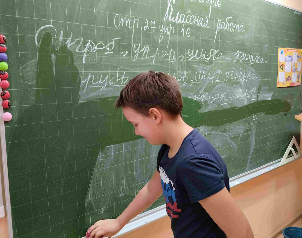 Постер к социальной практике: На страже чистоты