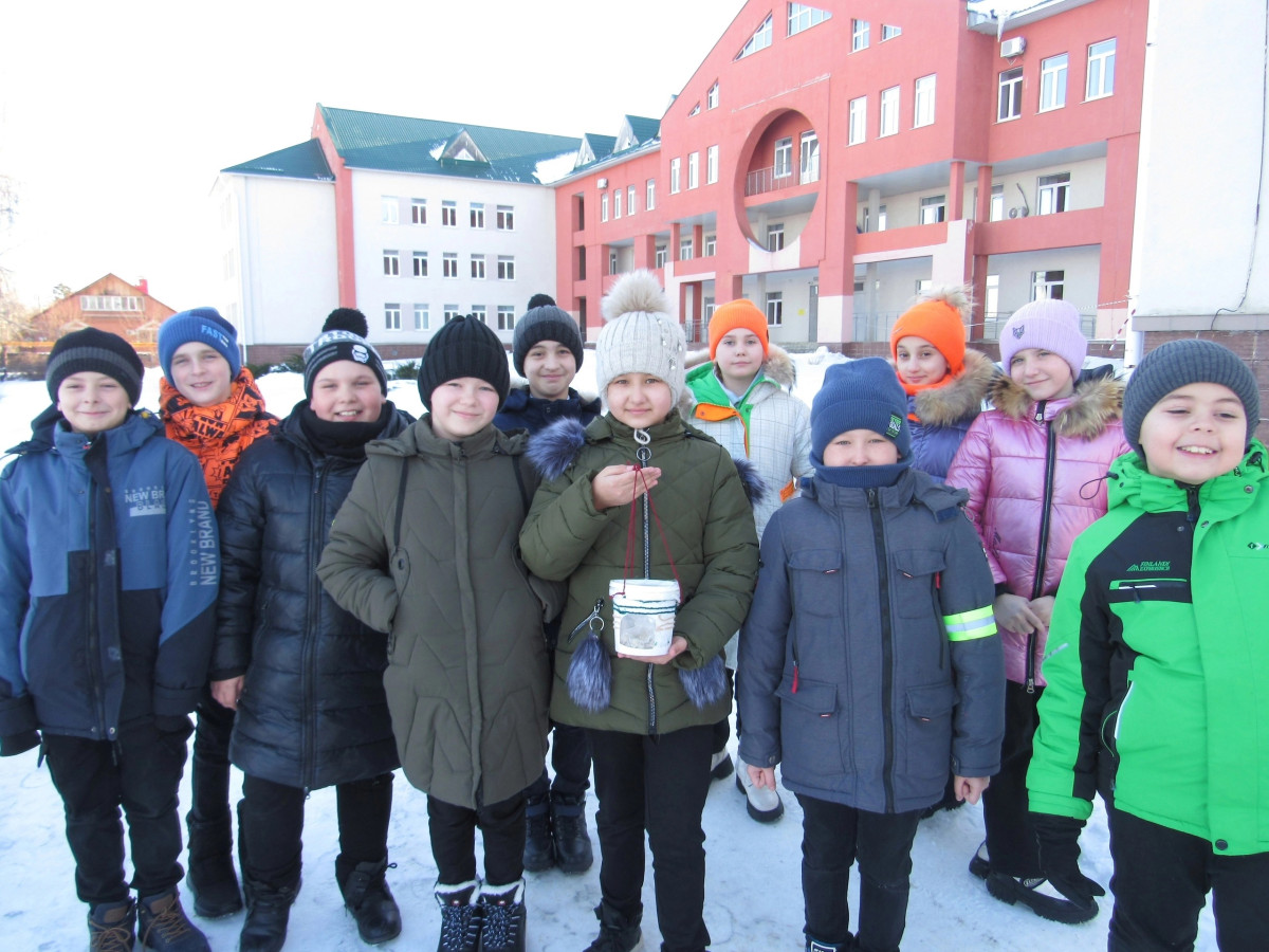 Постер к социальной практике: Покормите птиц