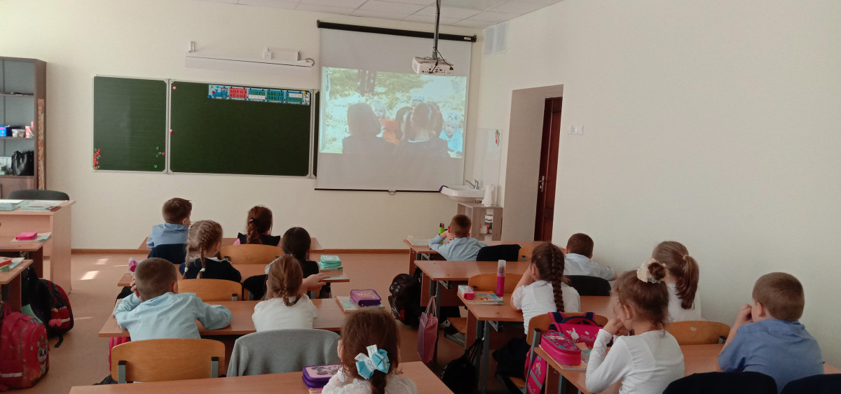 Постер к социальной практике: Мандарин