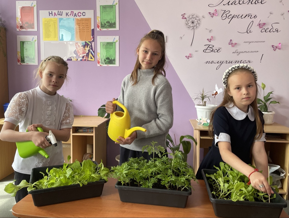 Постер к социальной практике: Живая природа