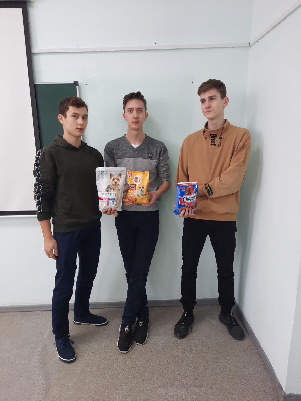 Постер к социальной практике: Счастье для братьев меньших