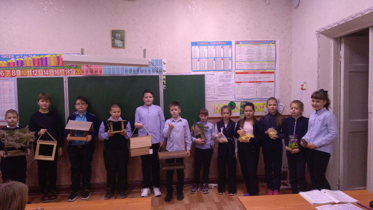 Постер к социальной практике: Друзья птиц.