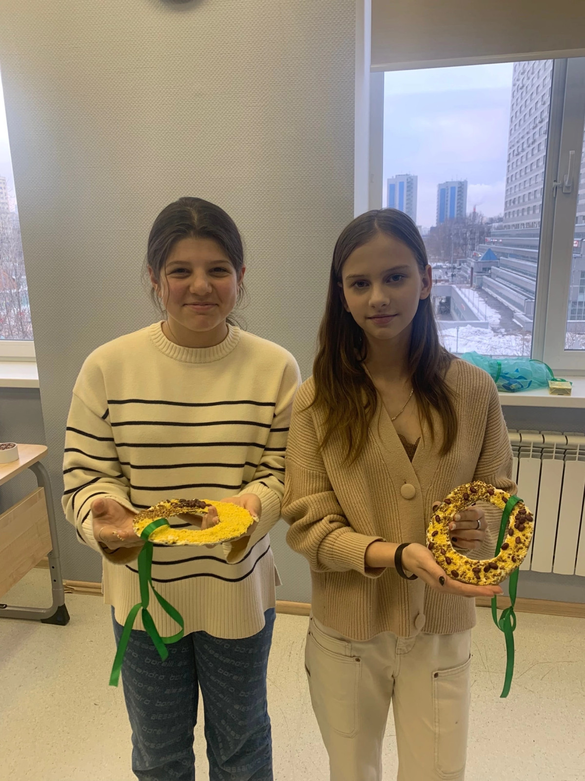 Постер к социальной практике: Кормушка для птиц