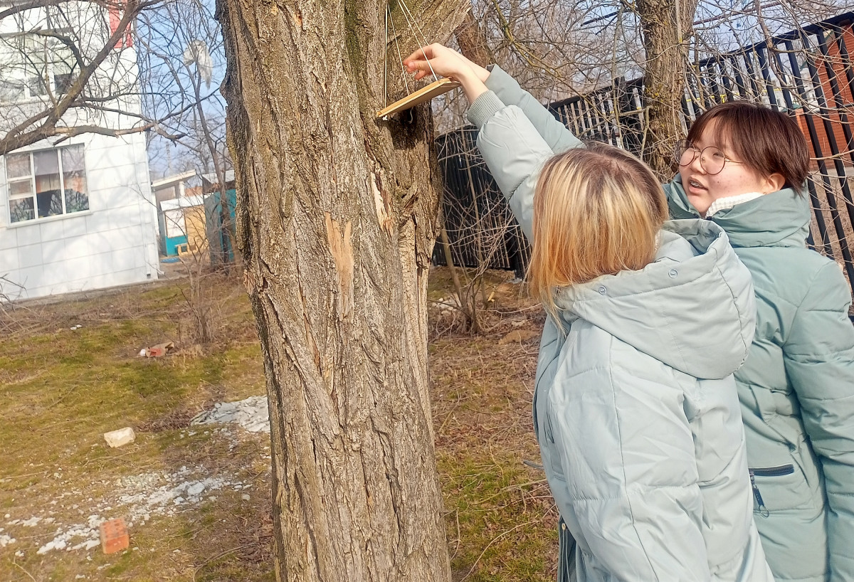Постер к социальной практике: Осчастливим зимующих птиц