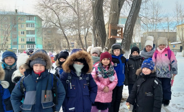 Постер к социальной практике: " Кормушки птицам"