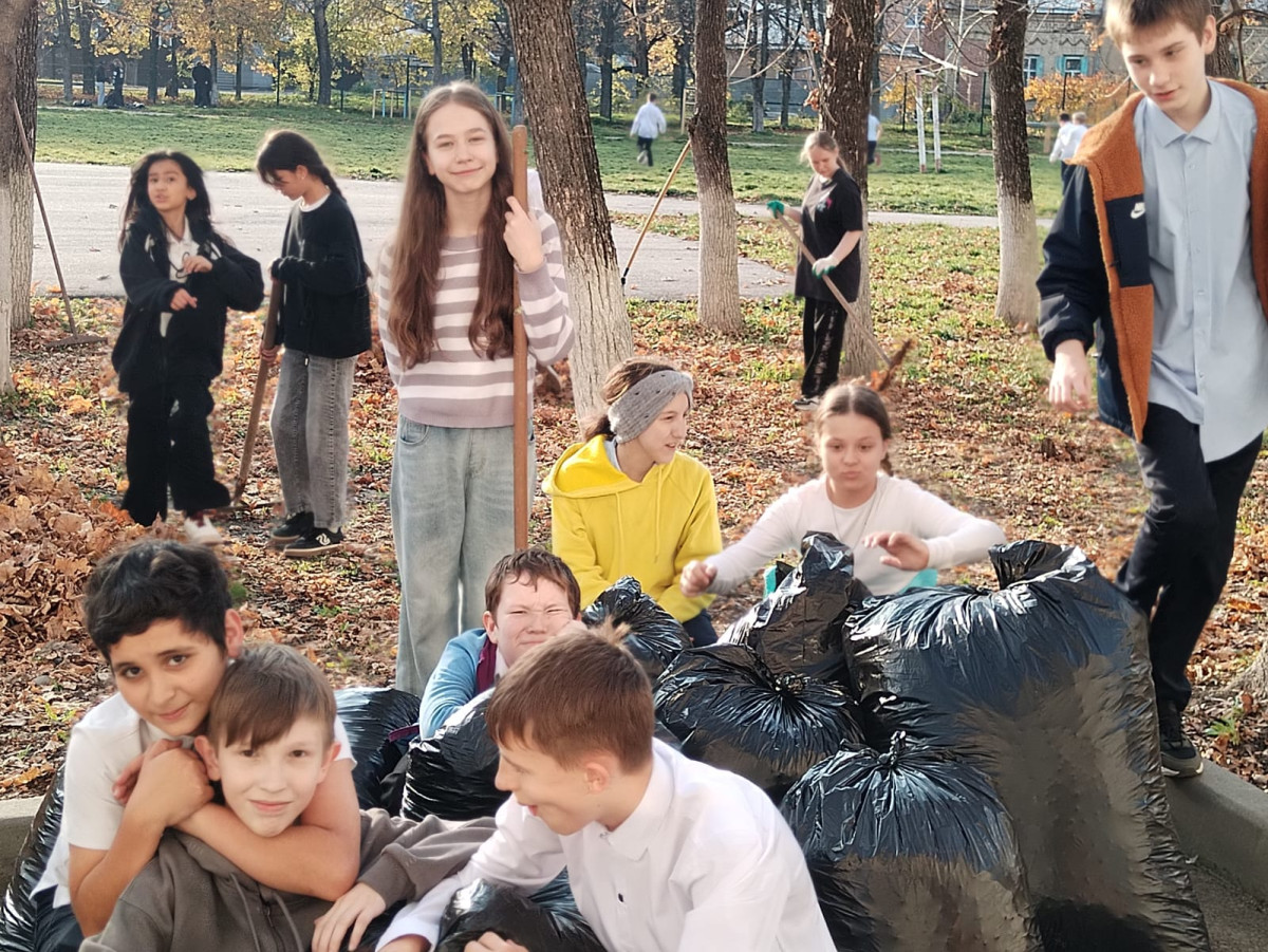 Постер к социальной практике: Уборка школьного двора