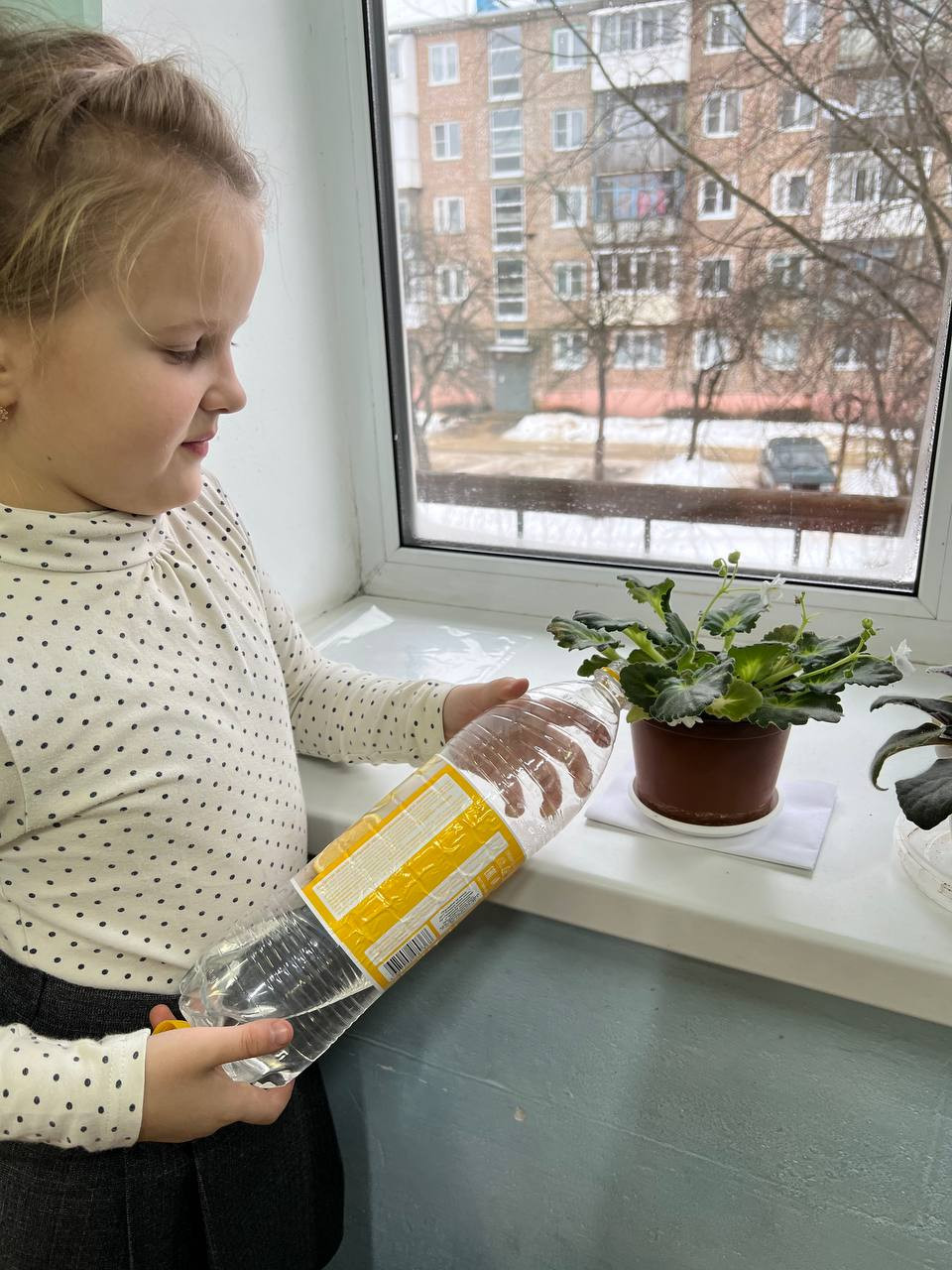 Постер к социальной практике: Охрана природы - забота всех.