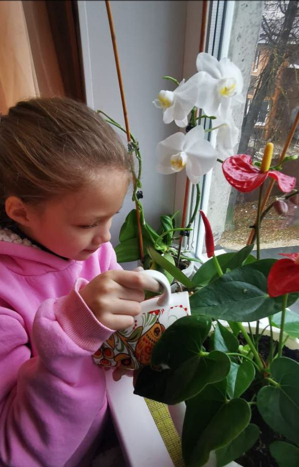 Постер к социальной практике: Неделя добра