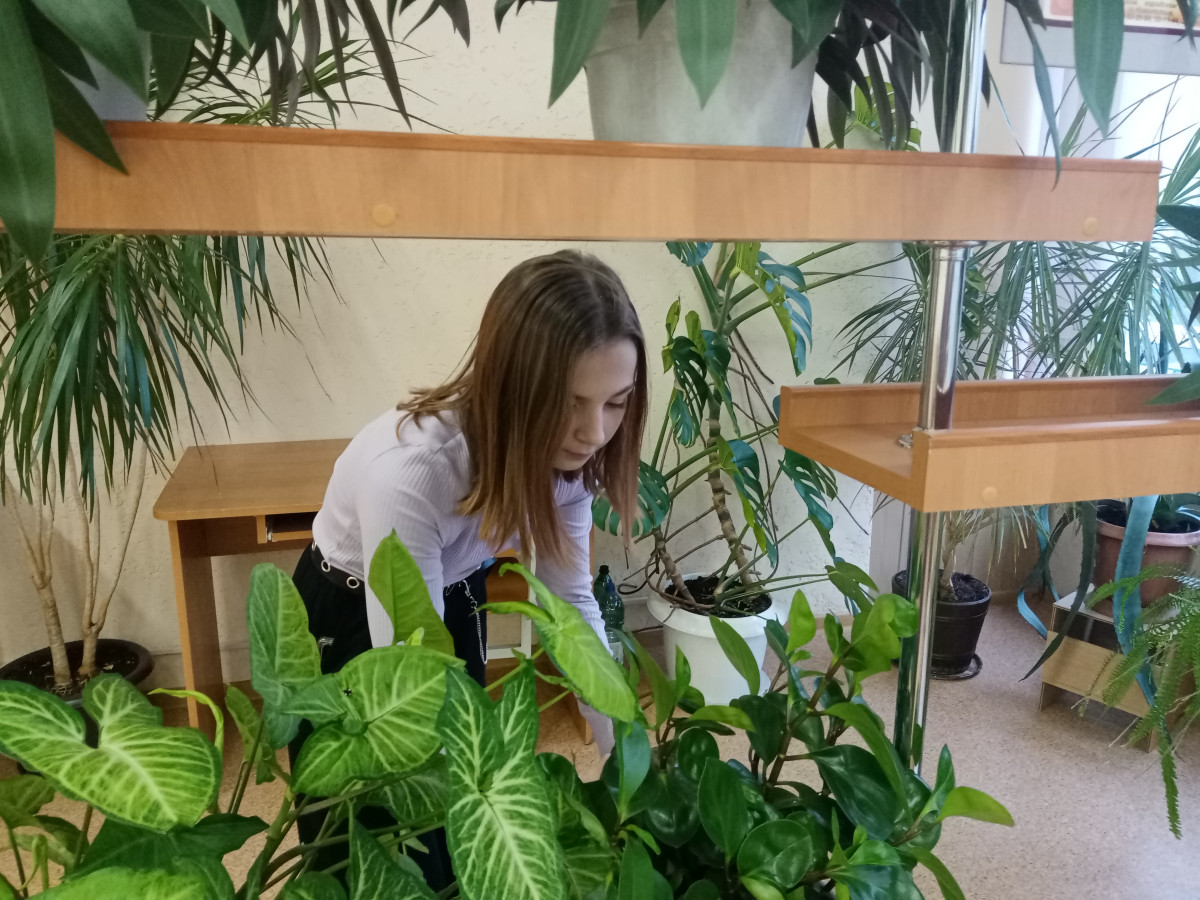 Постер к социальной практике: Бережно отношение к комнатным растениям