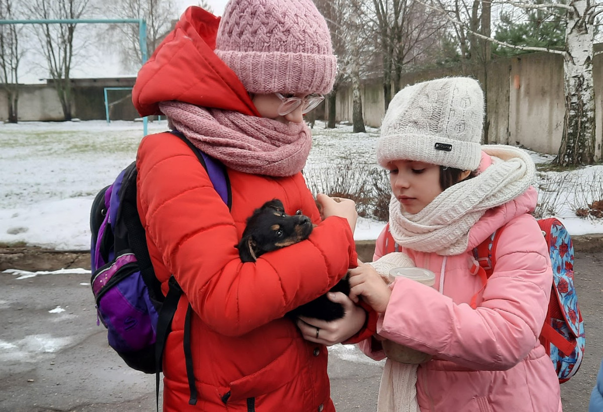 Постер к социальной практике: Неделя добра