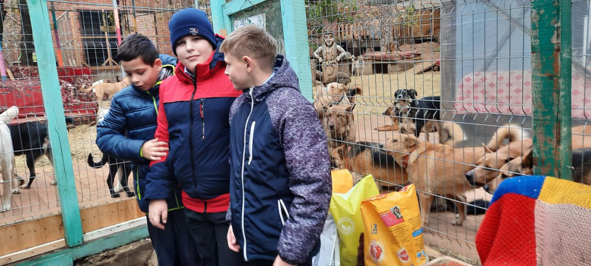 Постер к социальной практике: Наши питомцы - наши друзья