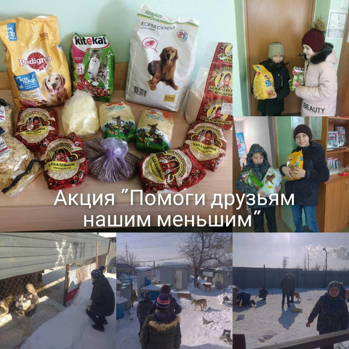 Постер к социальной практике: Помоги братьям нашим меньшим