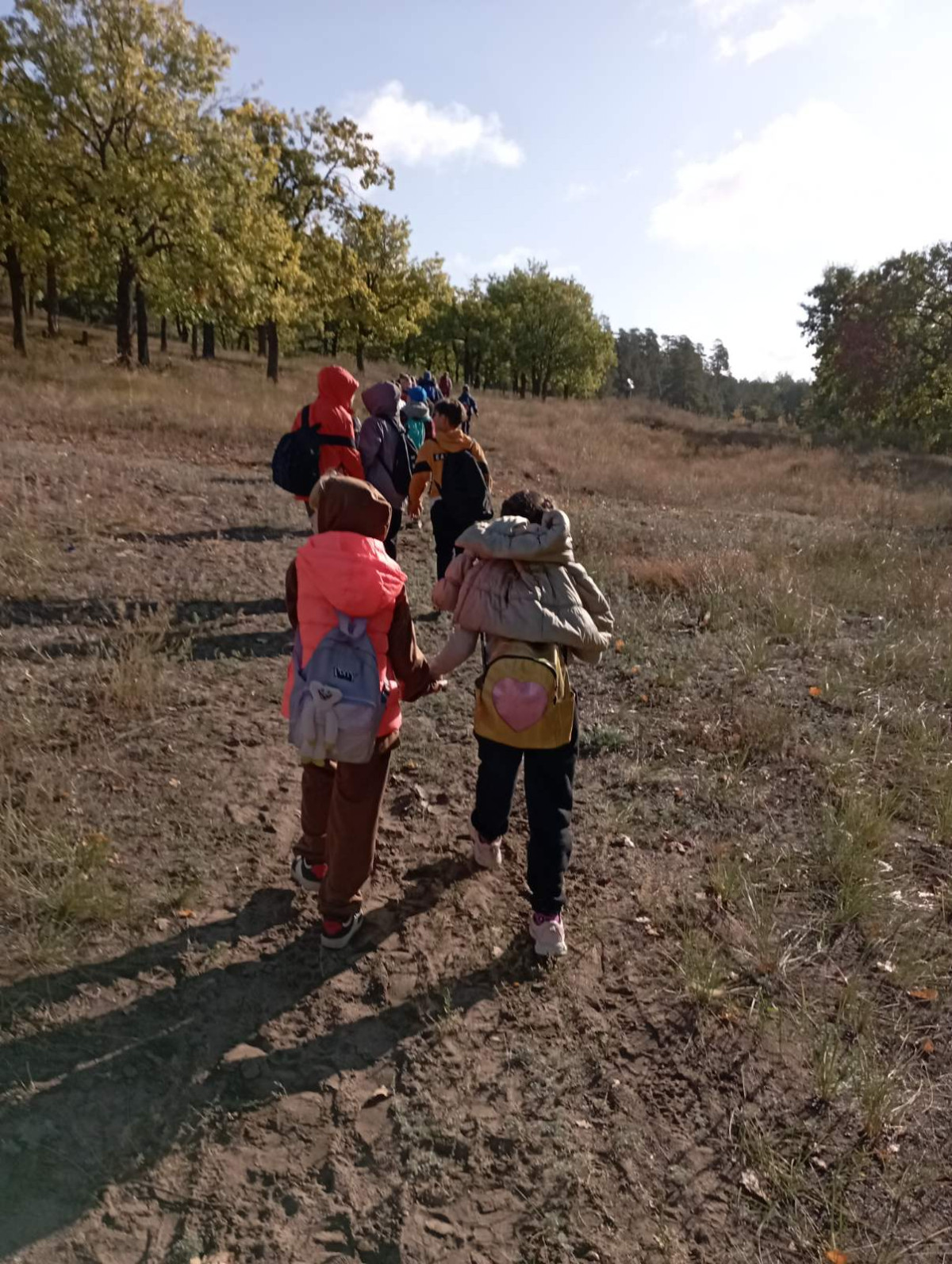 Постер к социальной практике: Родной край