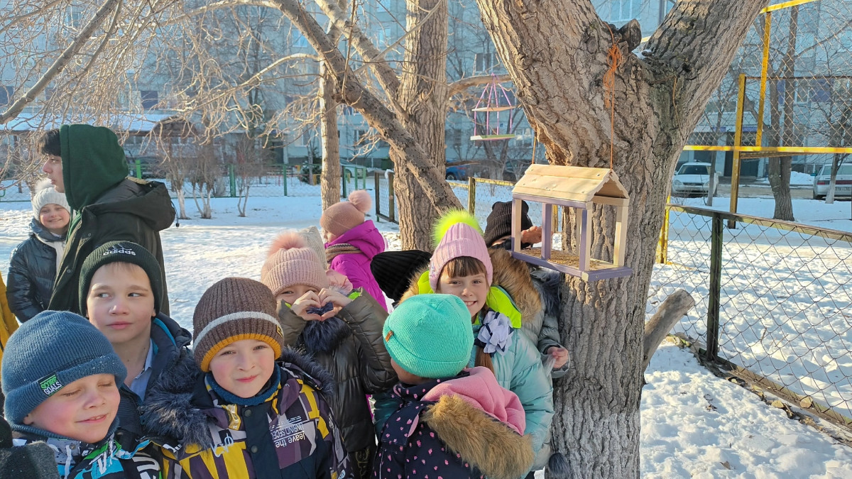 Постер к социальной практике: Кормушка