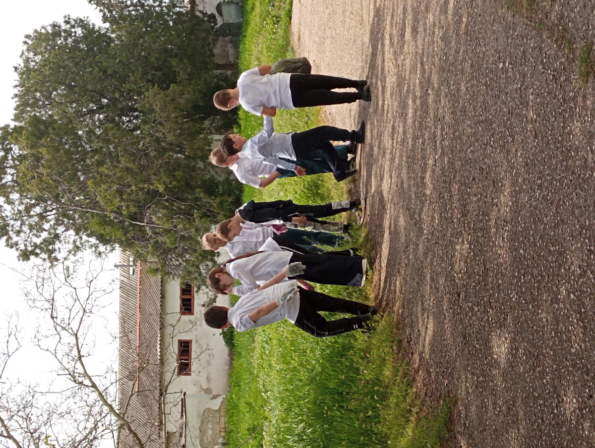 Постер к социальной практике: экологичность