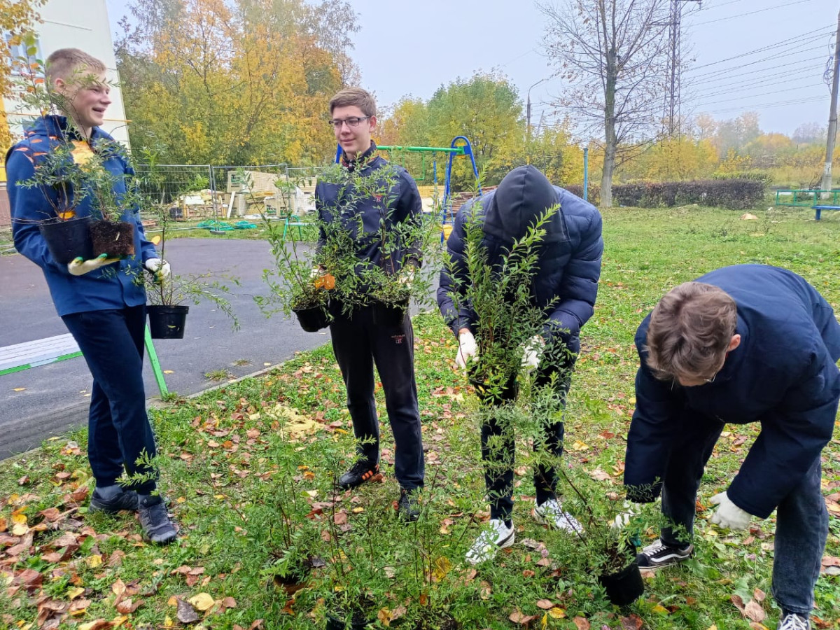 Постер к социальной практике: Практикуем созидательный труд