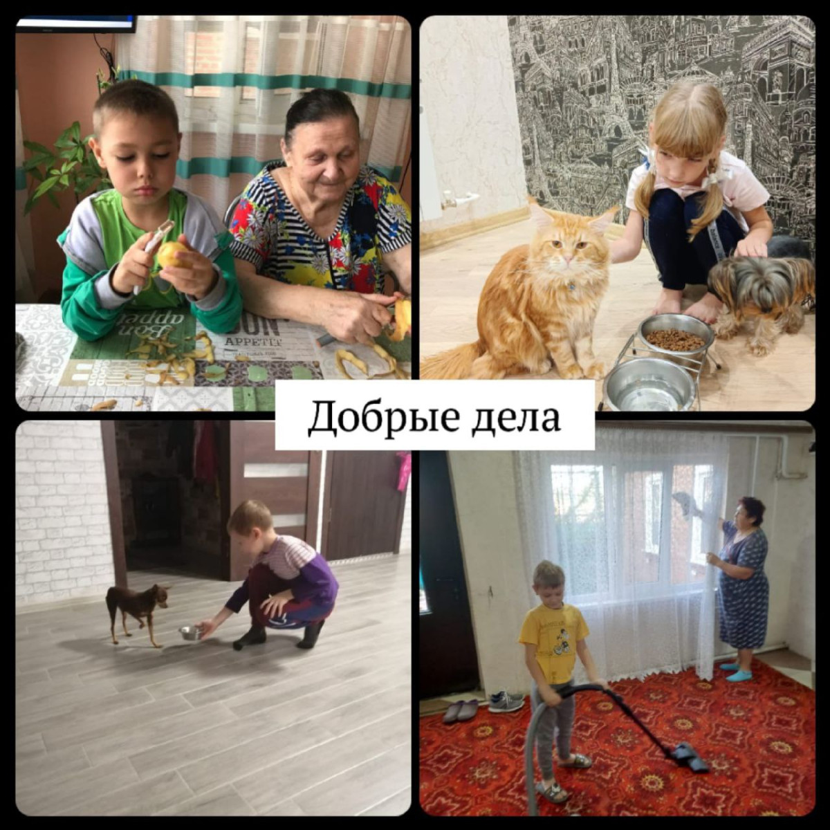 Постер к социальной практике: Твори добро