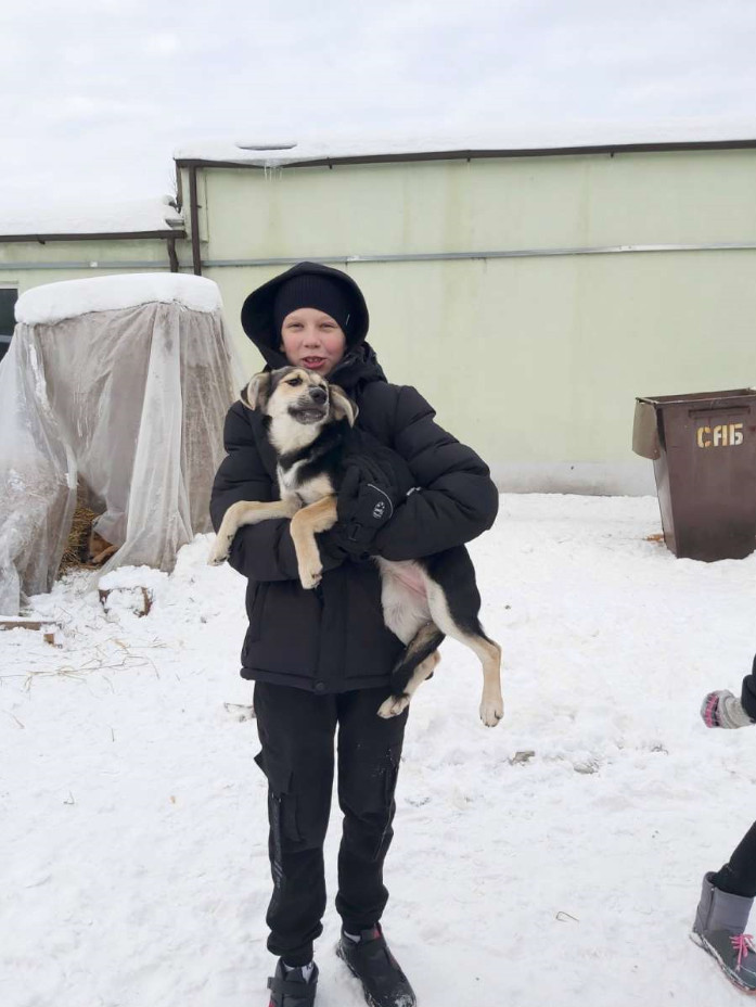 Постер к социальной практике: Благотворительная акция "Поможем четвероногим друзьям"