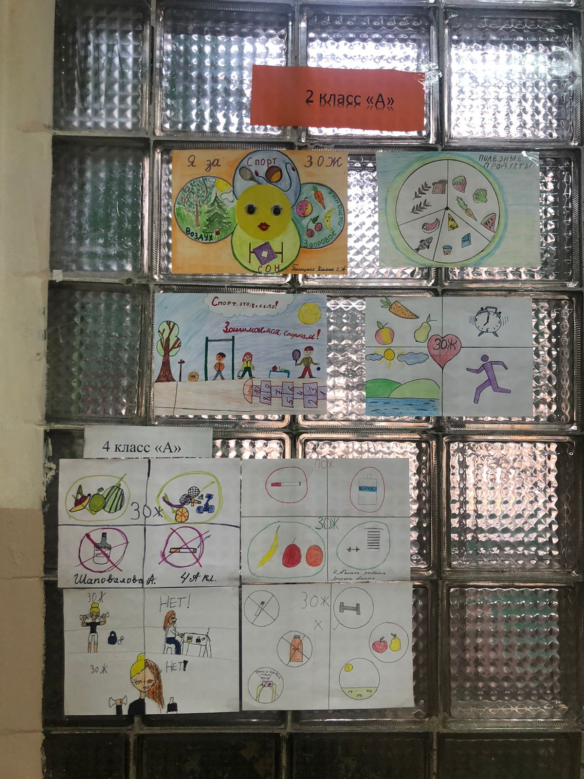 Постер к социальной практике: Все вместе к ЗОЖ!