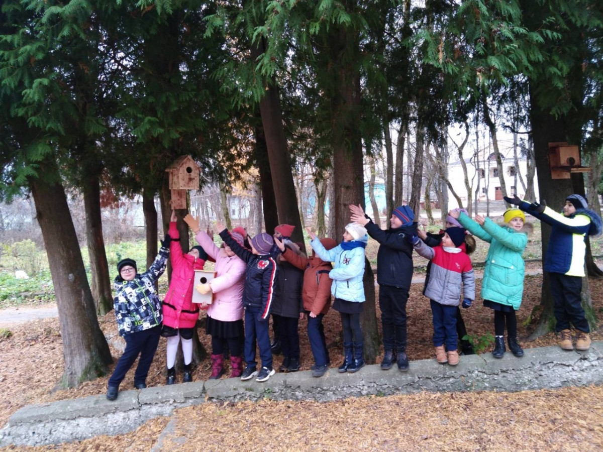 Постер к социальной практике: "Дарим дом птицам"