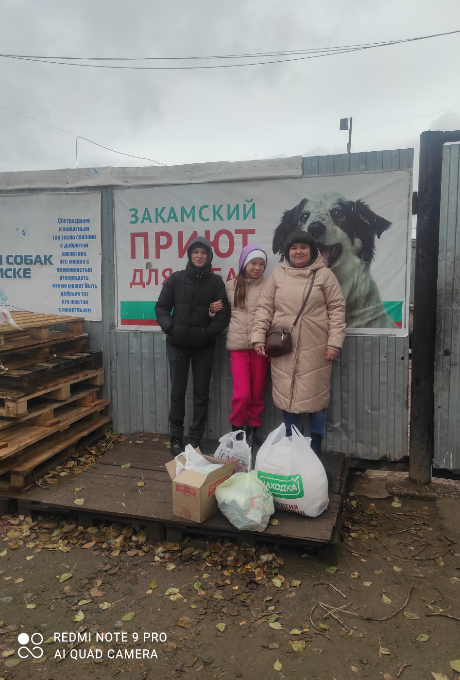 Постер к социальной практике: Собака-друг человека