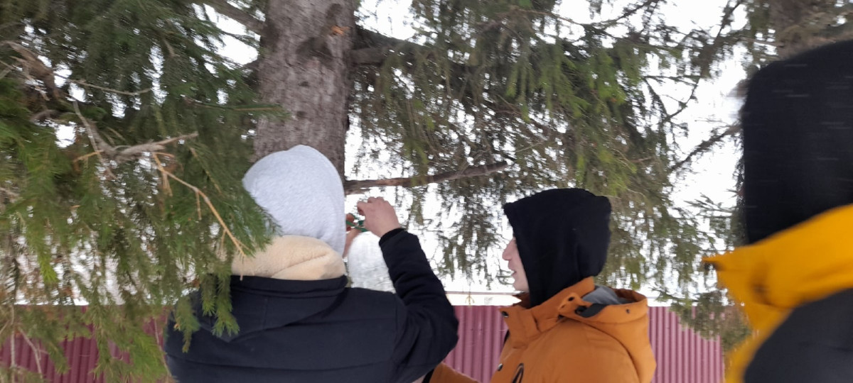 Постер к социальной практике: Домики для птиц