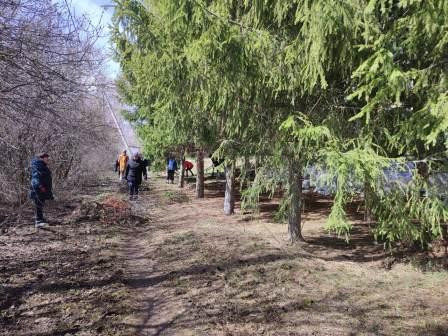 Постер к социальной практике: Добрые дела