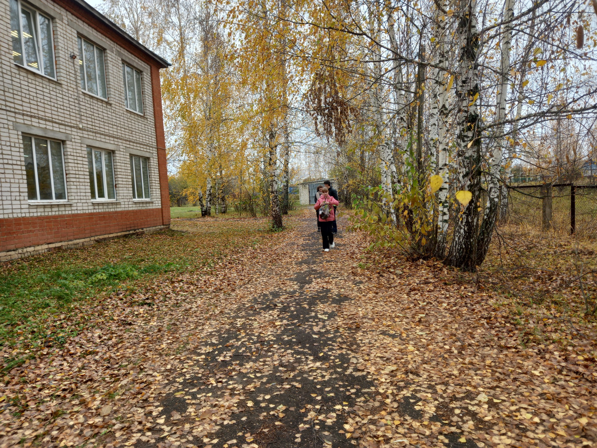 Постер к социальной практике: Чистодеи школьной территории