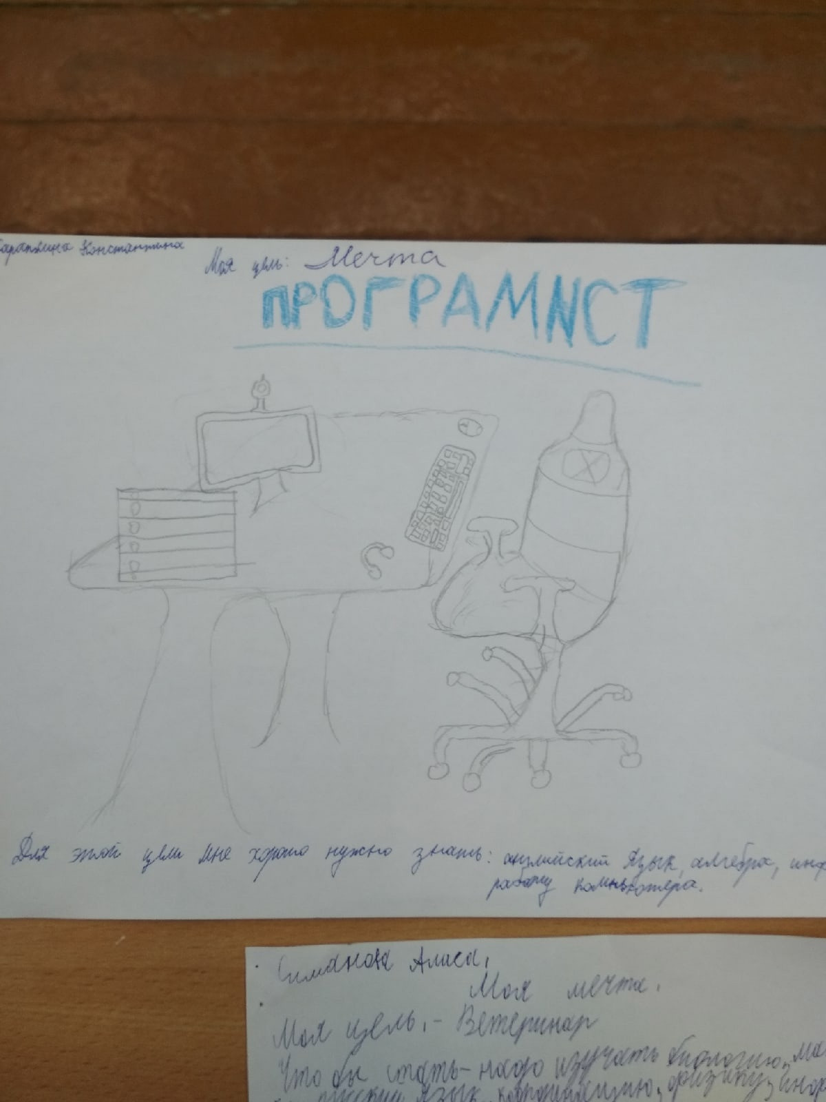 Постер к социальной практике: Мечта каждого из нас