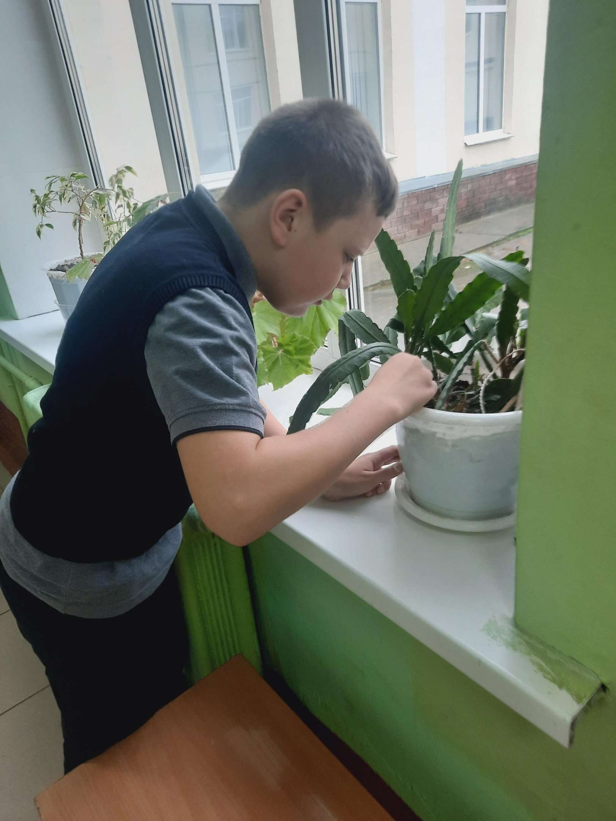 Постер к социальной практике: Зелёные друзья