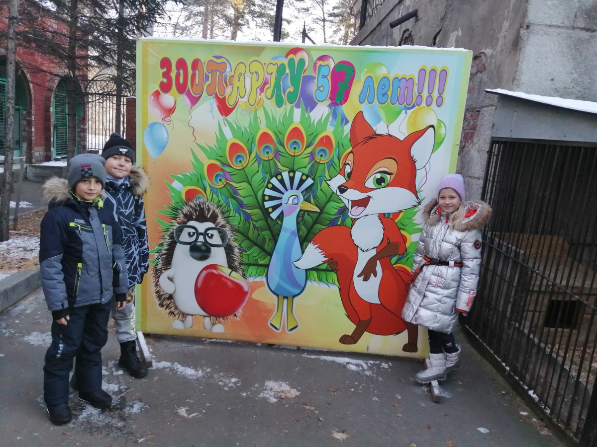 Постер к социальной практике: "Друзья наши меньшие".