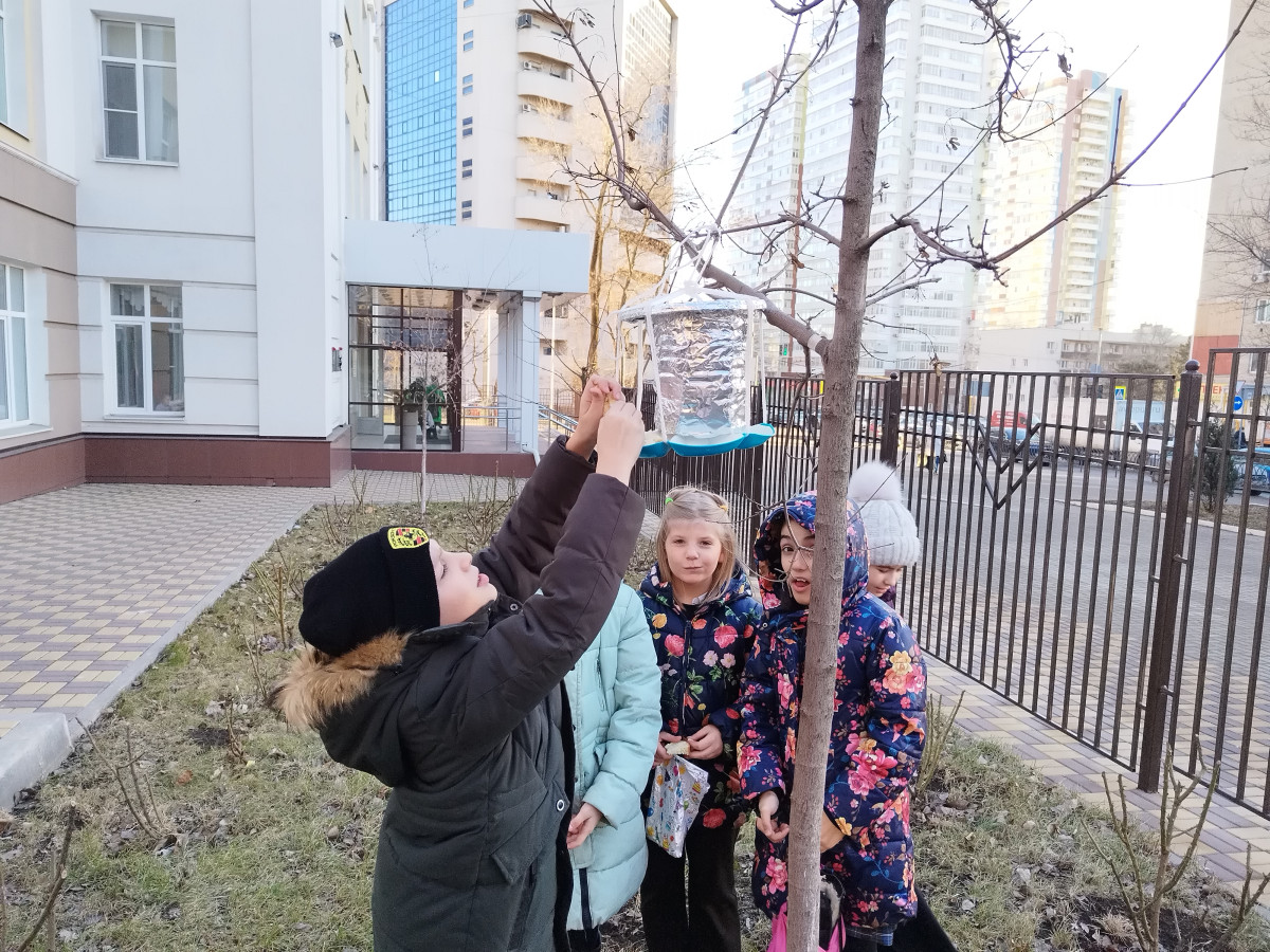 Постер к социальной практике: "Птичий десант"