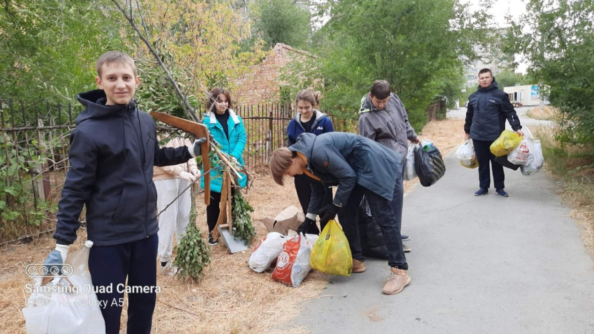 Постер к социальной практике: Чистодвор