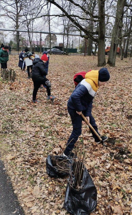 Постер к социальной практике: Озеленение и благоустройство территории школы