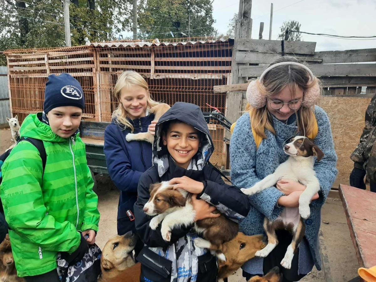 Постер к социальной практике: Лохматый друг