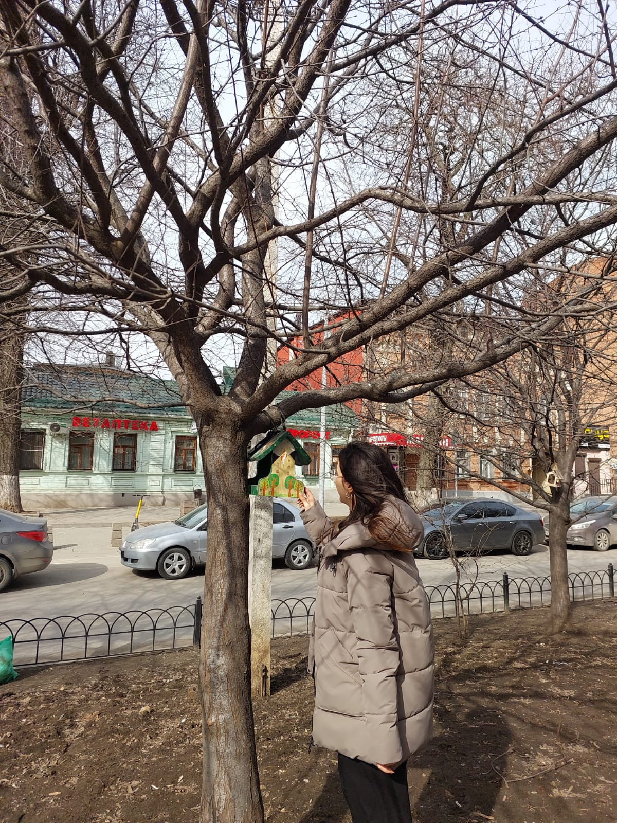 Постер к социальной практике: Любовь к природе — это любовь к самой жизни.