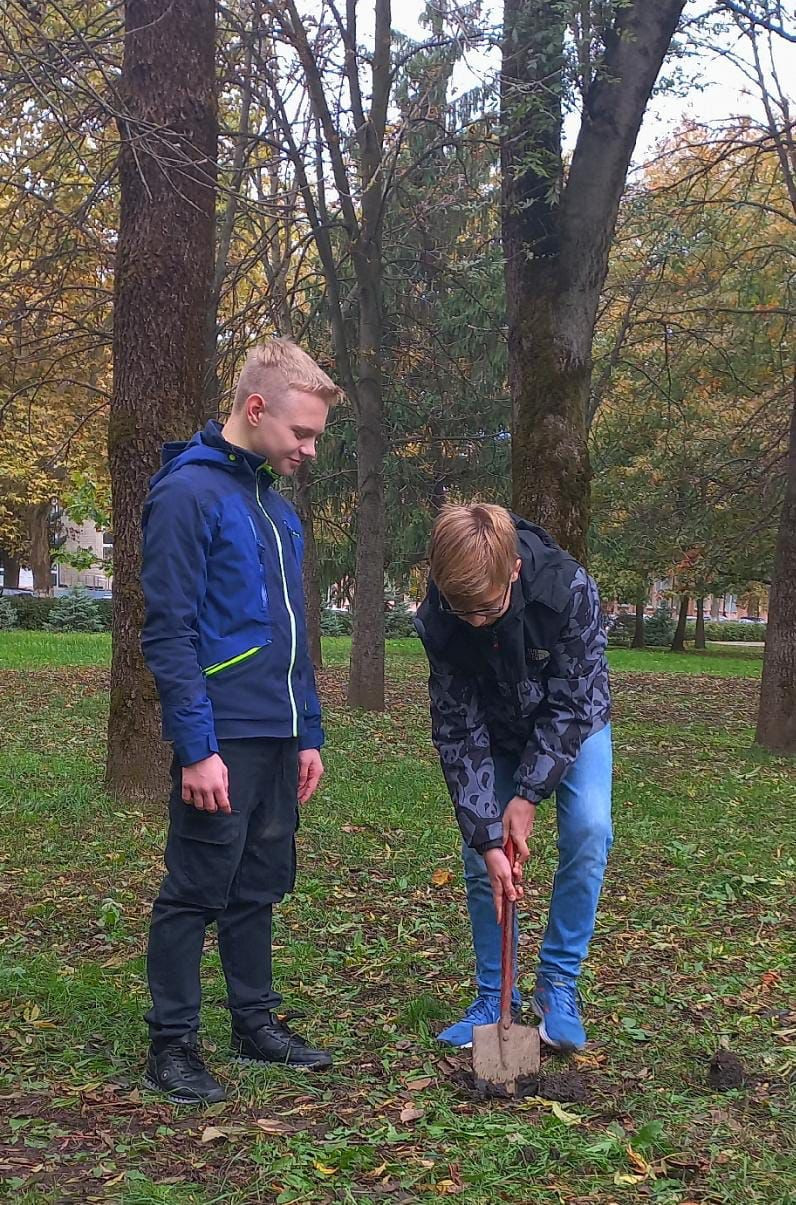 Постер к социальной практике: Стремись к созиданию