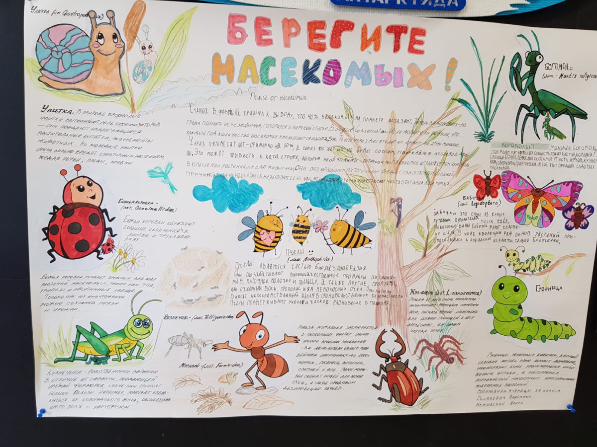 Постер к социальной практике: Экология снаружи - экология внутри.